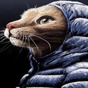 Meet your Posher, Christopher